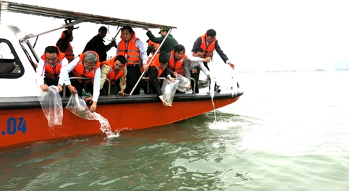 Tổng cục Thủy sản và Giáo hội Phật giáo Việt Nam hợp tác để tái tạo và bảo vệ nguồn lợi thủy sản 